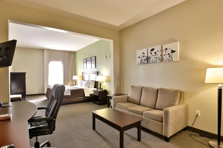 1 Bedroom Suite