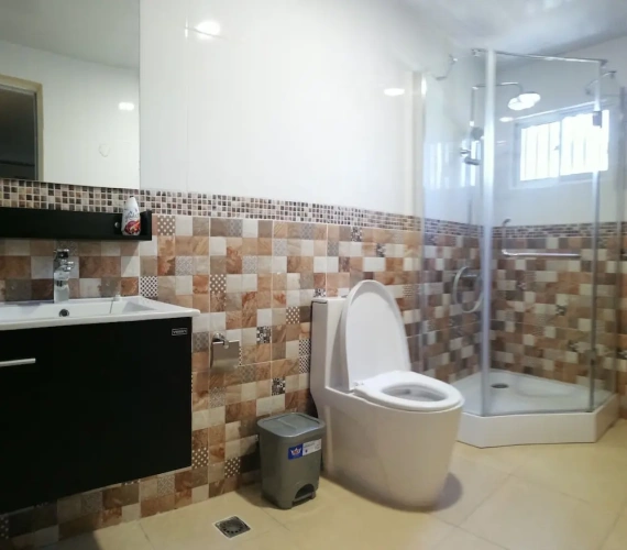 Classic Apartment