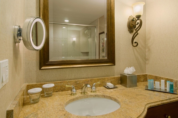 DoubleTree by Hilton Lisle Naperville photo 10