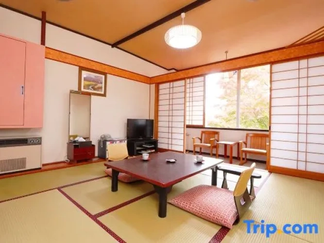 Standard room with city view