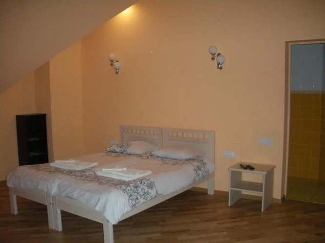 Comfort Double room with balcony and with view