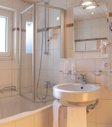 Superior Double room with balcony and with mountain view