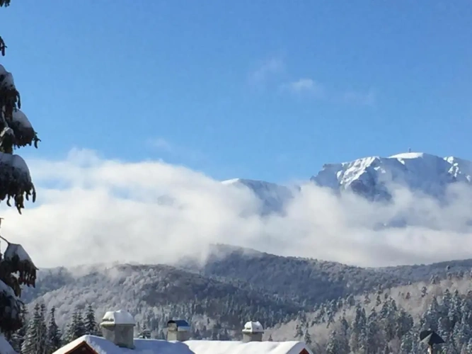 Apartment with mountain view