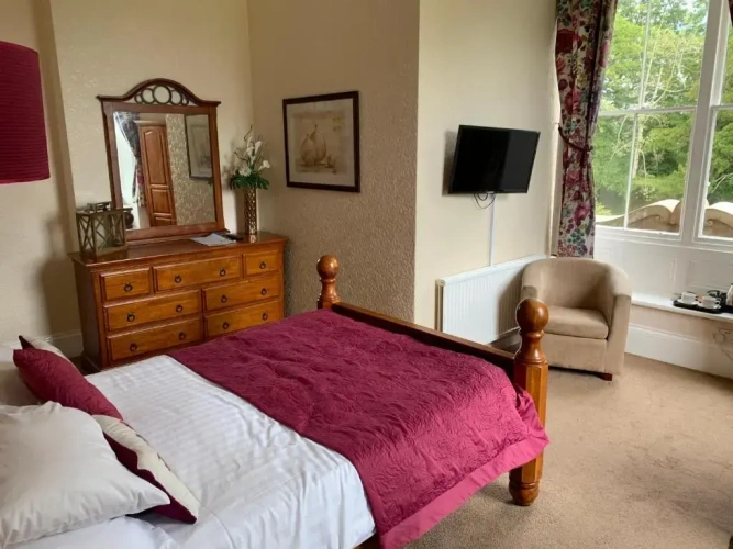 Standard Double room with garden view