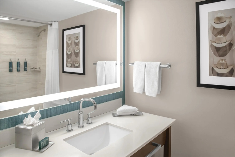 DoubleTree by Hilton Lubbock University Area photo 12