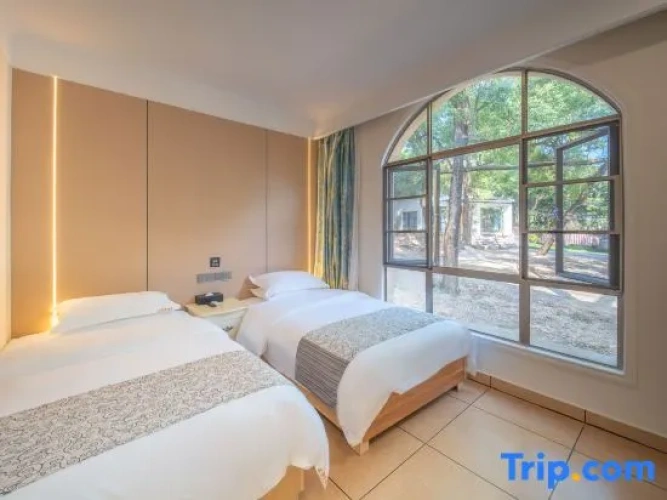 Standard Double room with mountain view