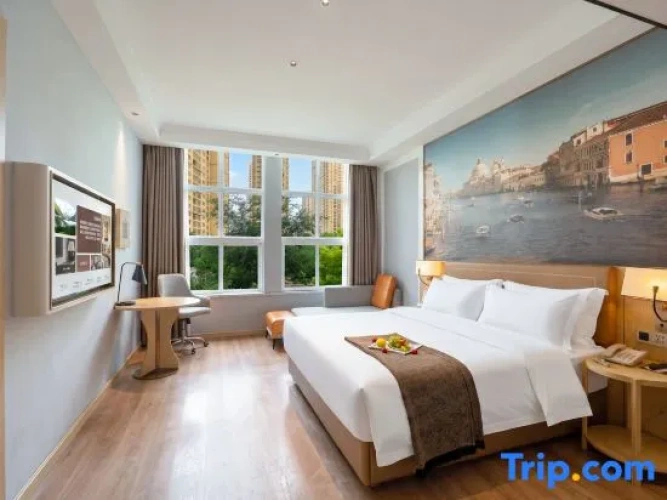 Comfort Suite