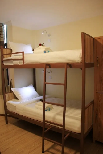 Bed in Dorm