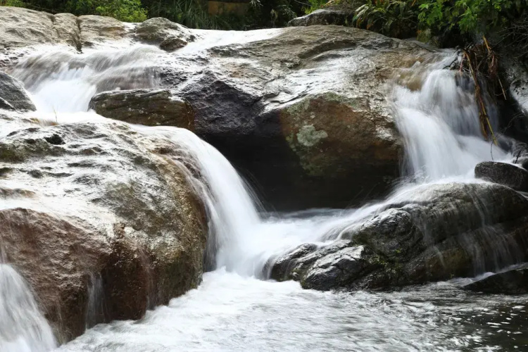 Sandalu Kithulgala
