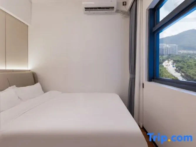 1 Bedroom Luxury Suite with city view