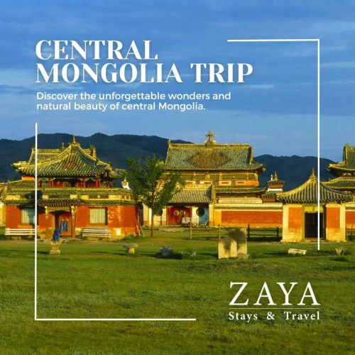 Zaya Hostel