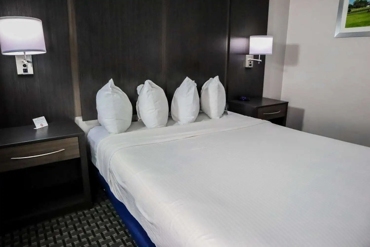 Best Western Ocala Park Centre I-75