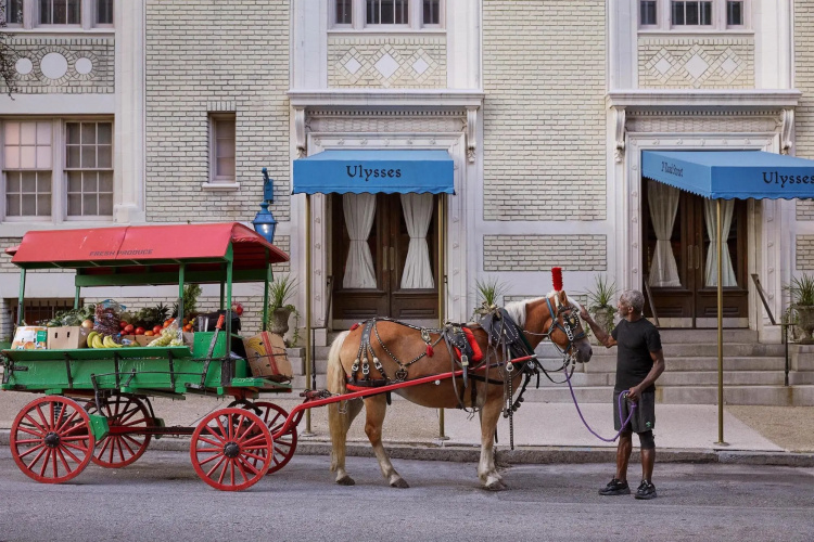 Hotel Ulysses photo 19