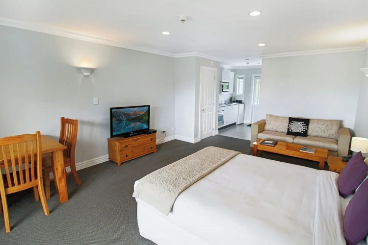 Standard Studio with garden view