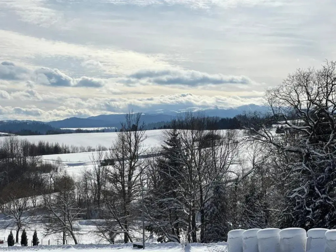 Domek w Bieszczadach