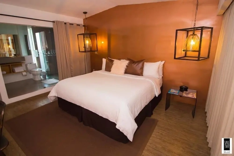 Deluxe Double Suite with view