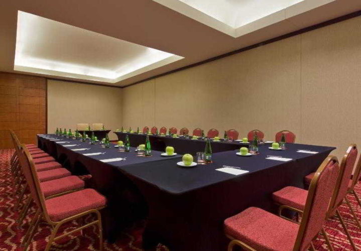 Sheraton Santiago Hotel And Convention Center photo 25