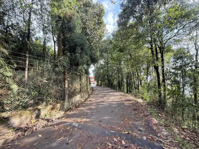 Sherpa Homestay - Darjeeling