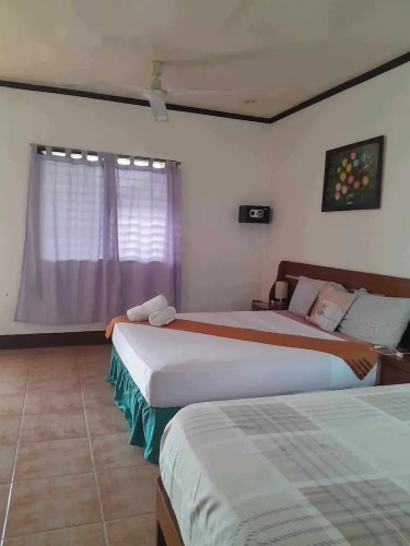 Premium Twin room with view