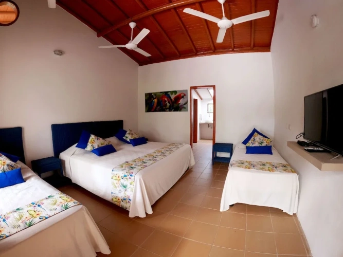 Standard Quadruple room