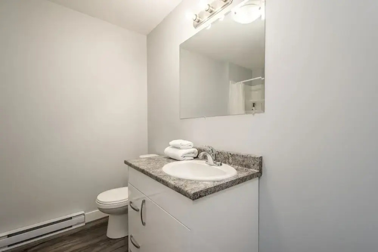 Spacious DAL & Downtown Apartments