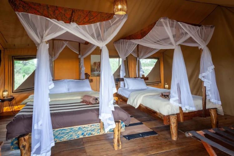 Tent