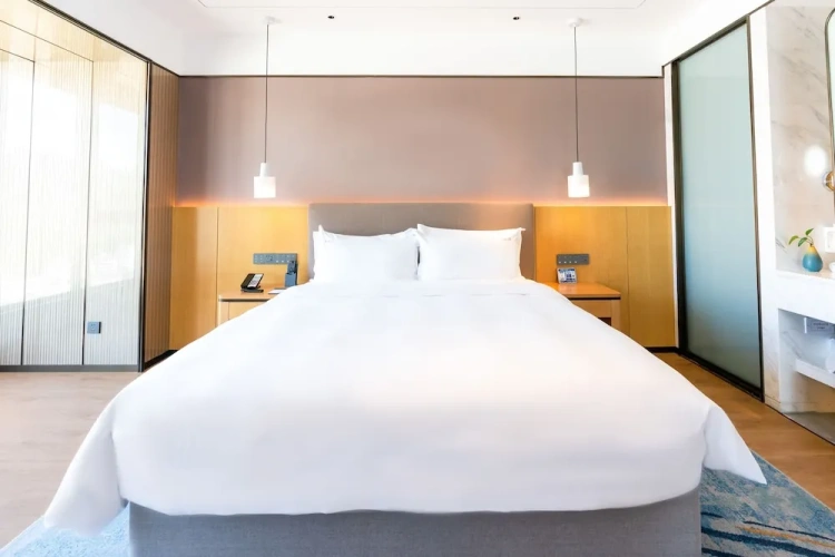 Premium Double room with city view