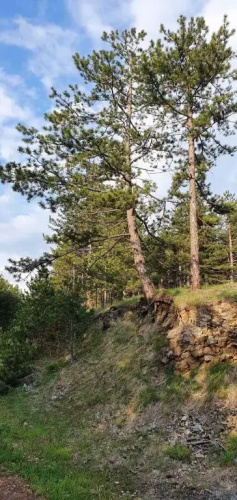 Ušuškani Studio
