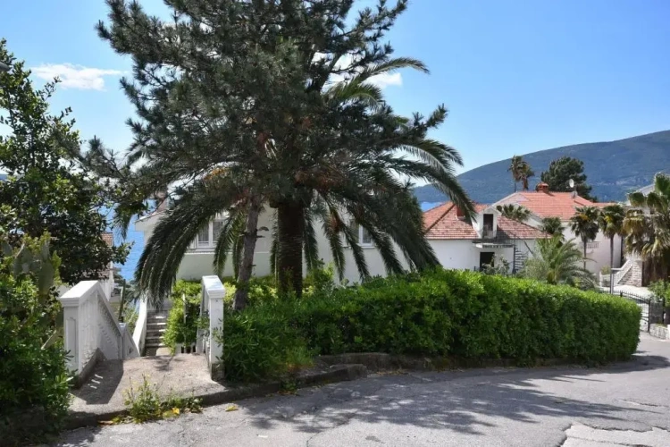 1 Bedroom Comfort Apartment with balcony