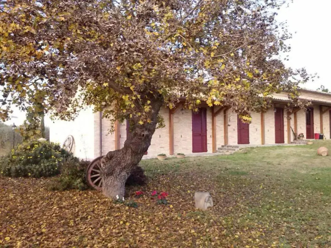 il Piccolo Melograno