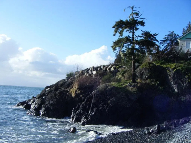 Orca View Cottage