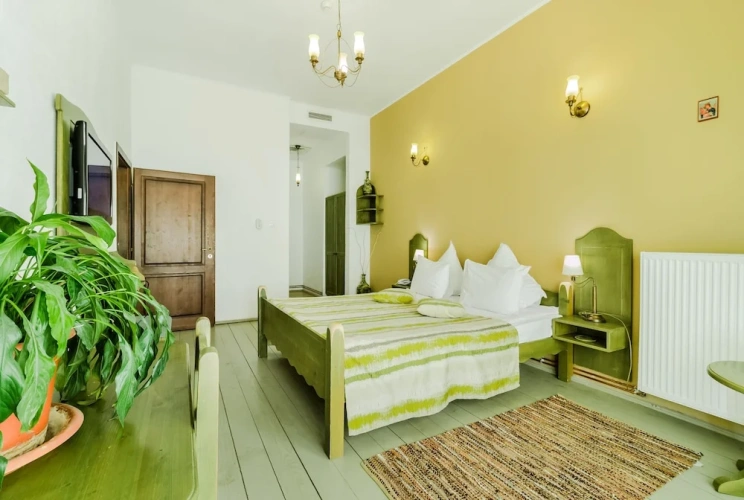Standard Double room with balcony and with mountain view