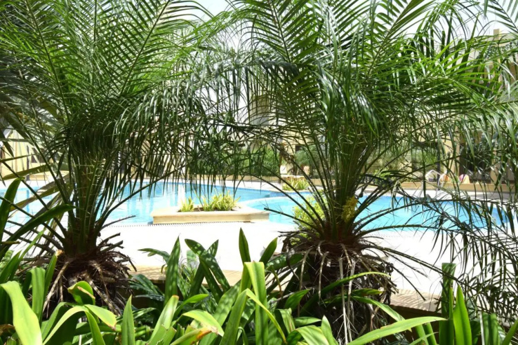The Sky Imperial Bapu's Resort