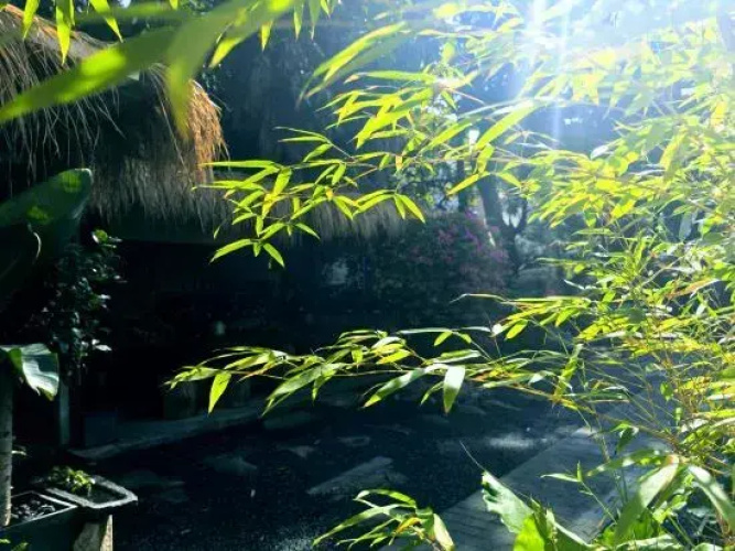 Gu Ruomin Residence
