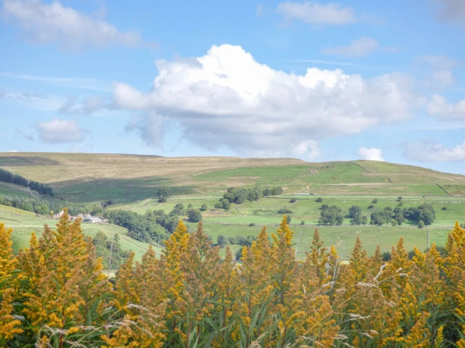 Skelgill Rigg
