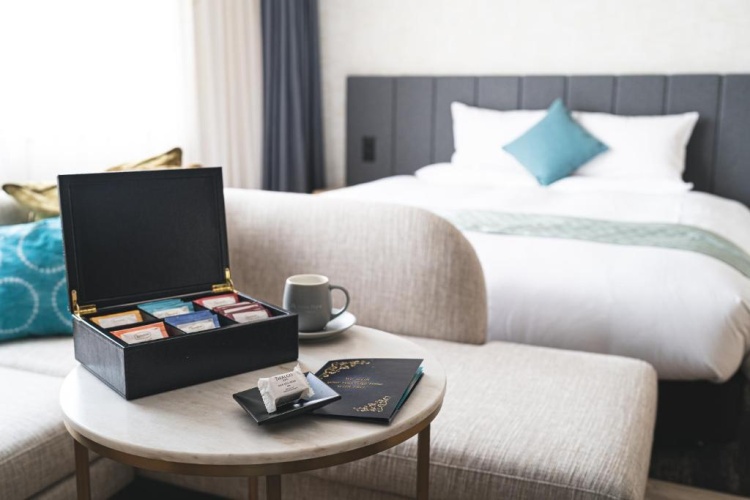 Deluxe Plus Twin room