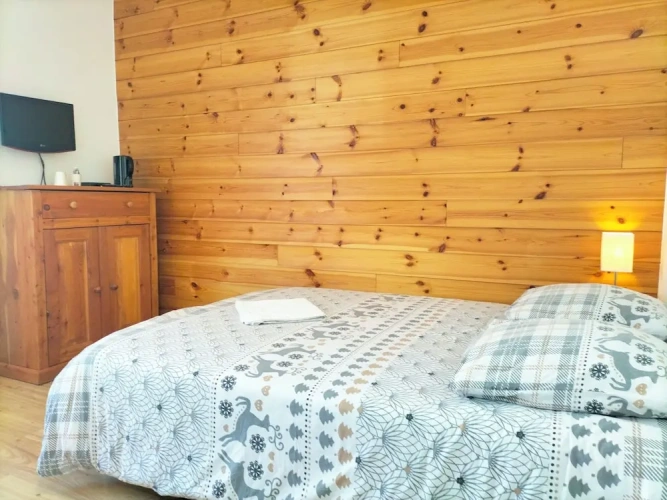 1 Bedroom Standard Double room