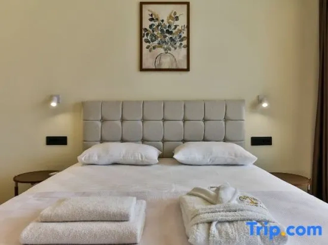 3 Bedrooms Superior Villa with sea view