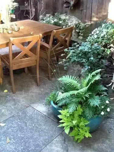 Rousseau's Garden
