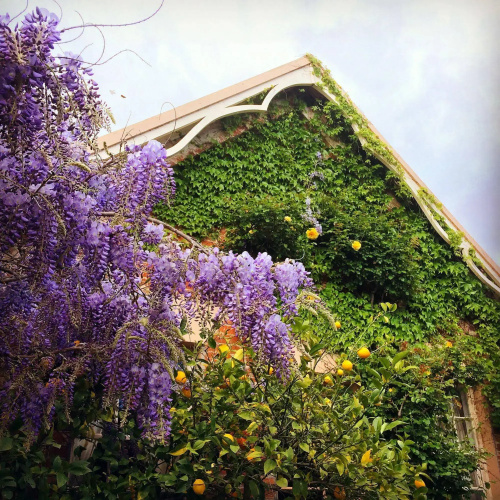 The Racecourse Inn