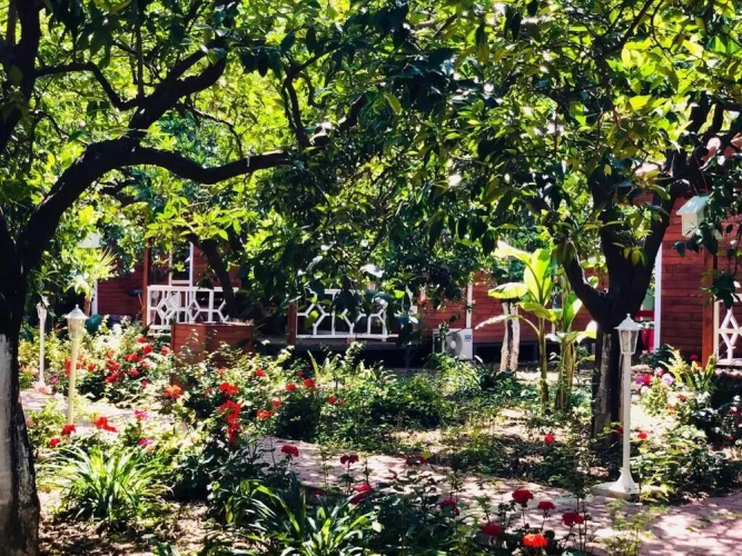 Eliz inn Garden