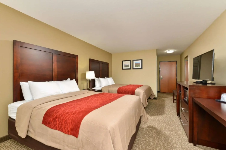 Standard Quadruple room