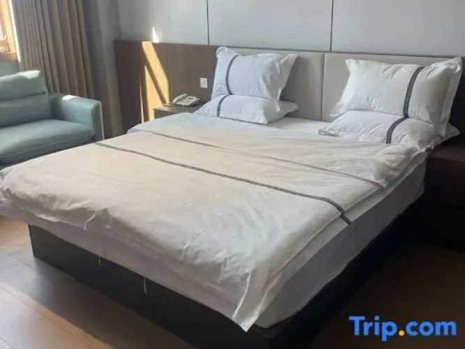 Premier Suite