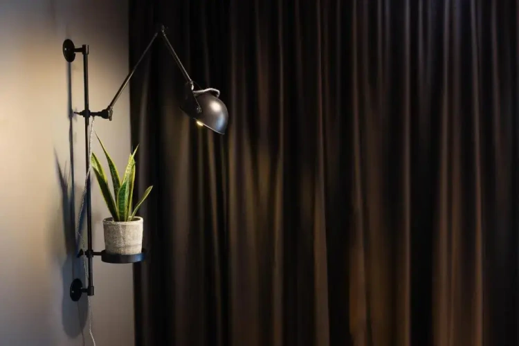 Economy Studio