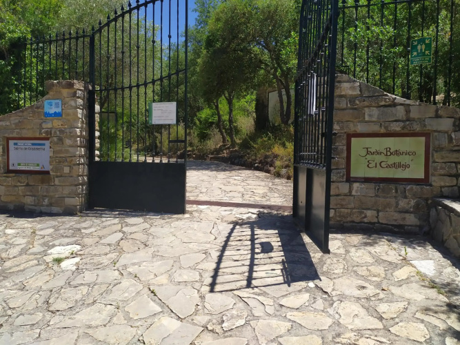Vivienda Majaceite
