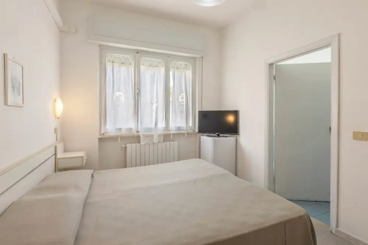 Standard Double room with balcony and with sea view