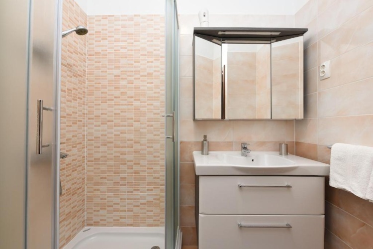 1 Bedroom Basement Apartment
