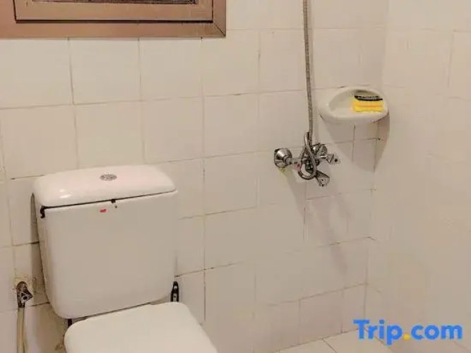 Happy Camel Hostel