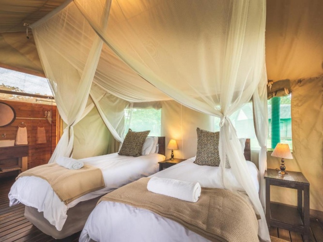 Tent