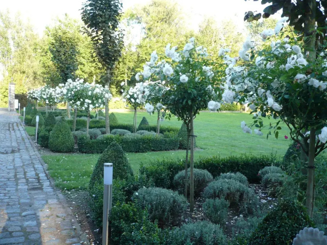 Hotel Haeneveld